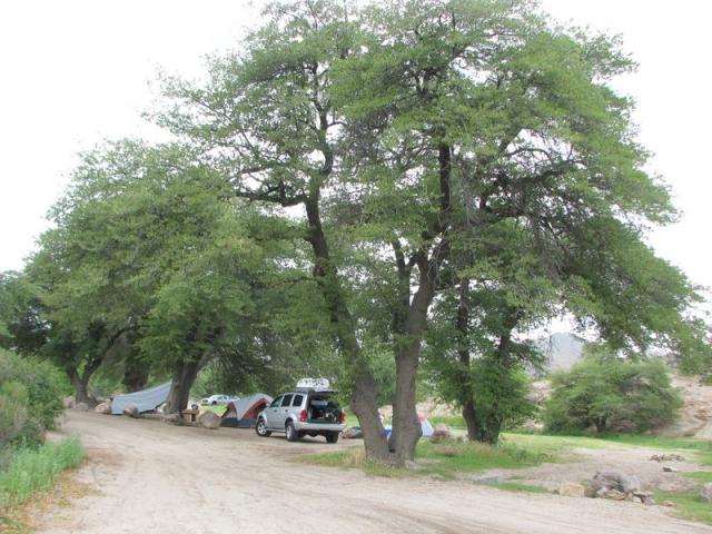 Oak Flat Campground